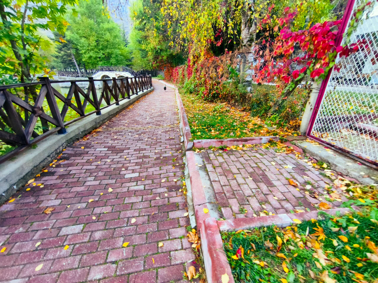 Konya’nın cennet köşesi sonbahar renkleriyle büyülüyor 5